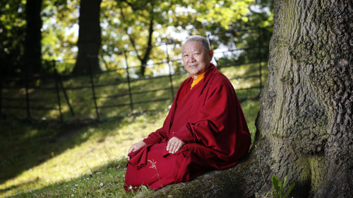 Il primo avvio della ruota del Dharma - Le Quattro Verità dei Nobili