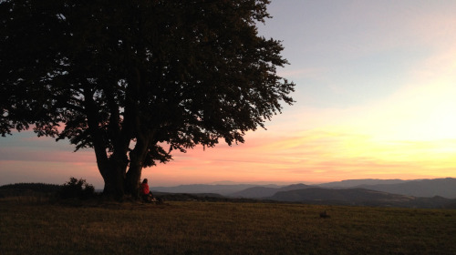 Un giorno d'inverno a Lerab Ling