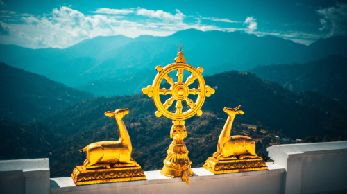 Non siate pazienti con il samsara