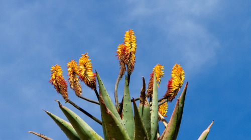 How to remain unshaken by life’s ups and downs