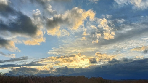 I Quattro sigilli sintetizzano la visione buddhista