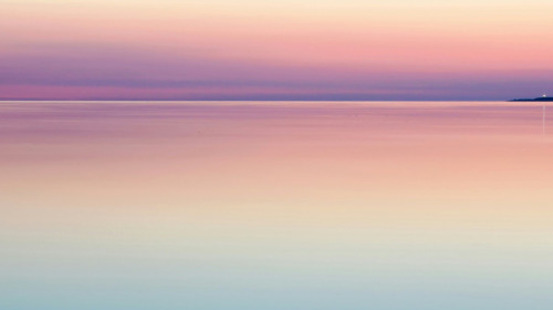 Lasciar andare l'aggrapparsi è il sentiero verso la libertà.