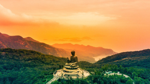 Cos’ha insegnato il Buddha