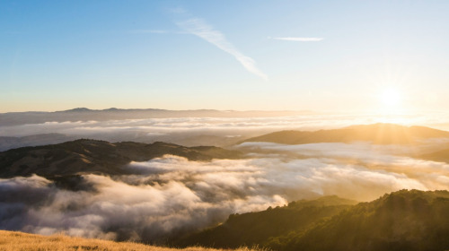 Comprendere la mente per capire noi stessi