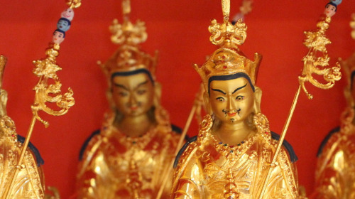 Notizie dal Consiglio della Visione di Rigpa